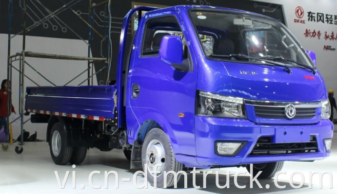 Dongfeng light truck (4)